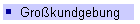 Großkundgebung